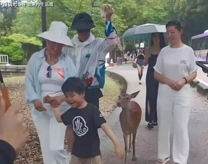 汪峰森林北机场热拥难分，恋爱18个月情深依旧引热议