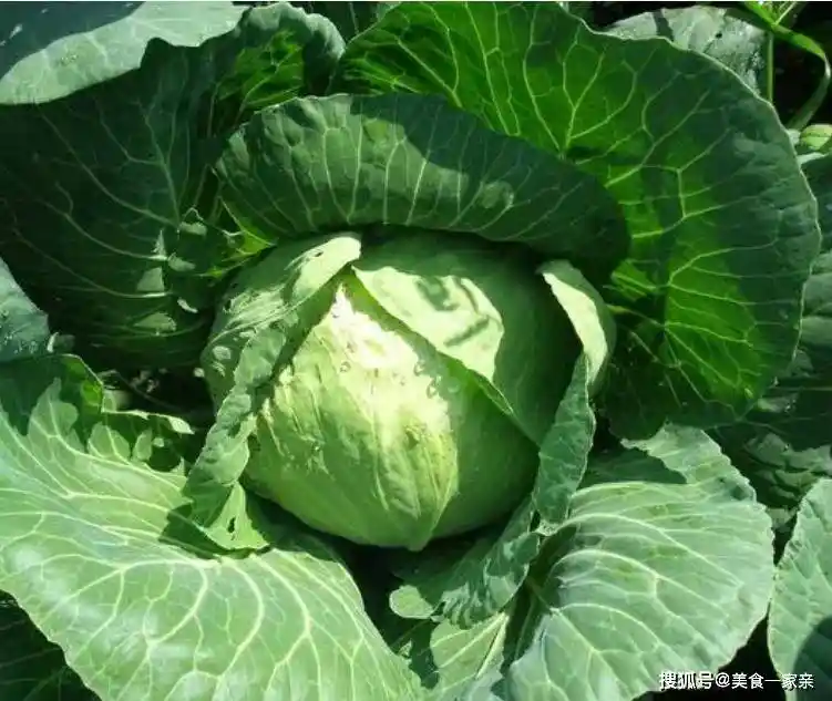 童年爆款糖果重现！80、90后集体沦陷的网红零食你吃过几种？