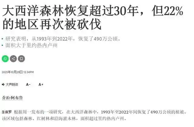 雨林警报！一年消失440万公顷，卢拉陷绿色困局真相曝光