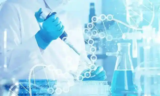 科技突围捷报频传，基础研究亟待突破，生态重构发力破局