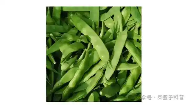 东北油豆角为何霸榜豆角界？揭秘其成为天花板的秘密