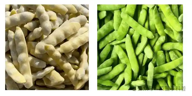 东北油豆角为何霸榜豆角界？揭秘其成为天花板的秘密