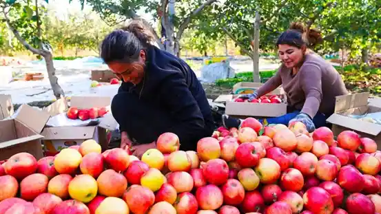 八卦城惊艳亮相，特克斯县魅力全开