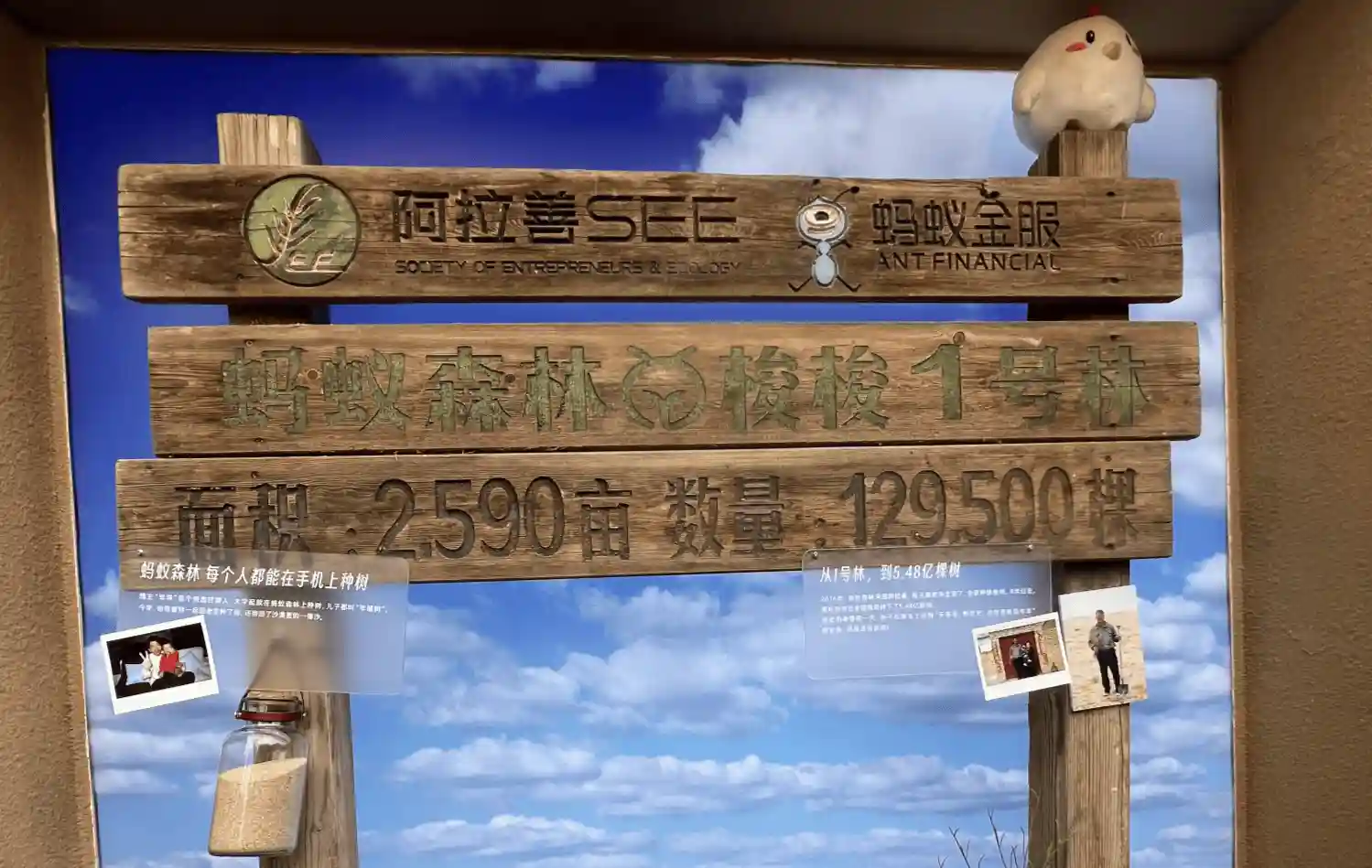 手机种树十年：蚂蚁森林1号林树牌正式入藏国家版本馆