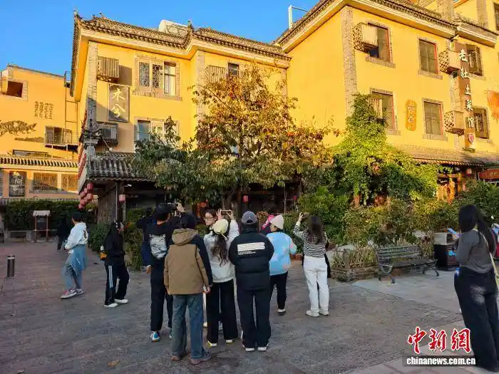 马房村生态策马破圈出彩：云南小山村靠绿水青山变身网红旅居目的地