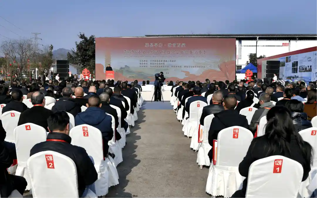 渠县早虾引爆粤港澳！特色水产撬动千亿产业新机遇