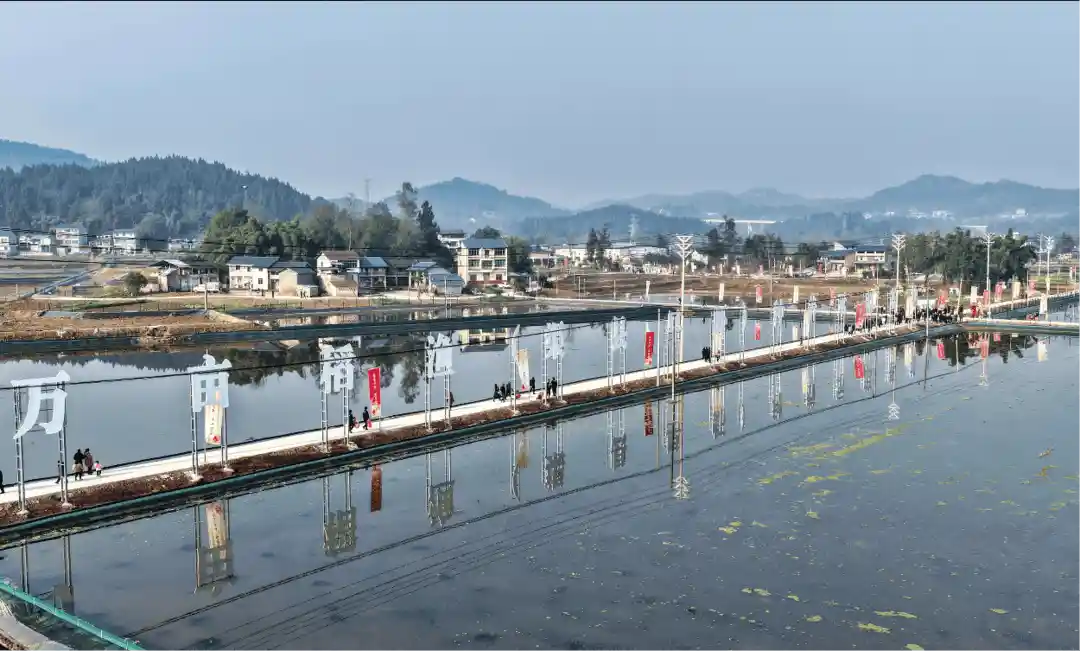 渠县早虾引爆粤港澳！特色水产撬动千亿产业新机遇