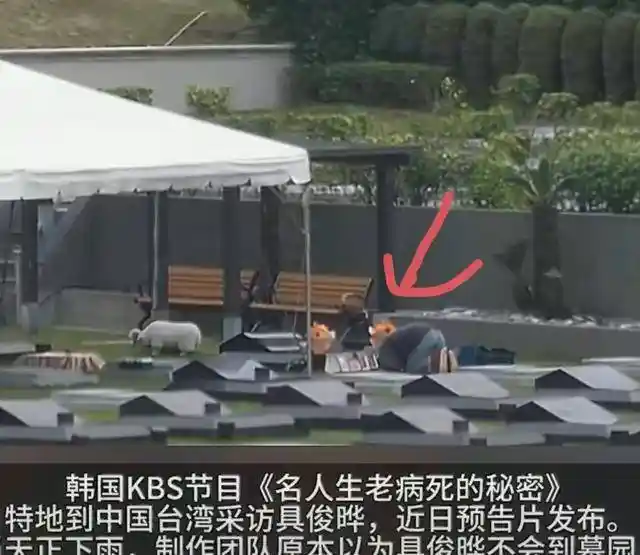 大S家族上演遗产争夺战?爆料称为让具俊晔带小S女儿进军韩国乐坛