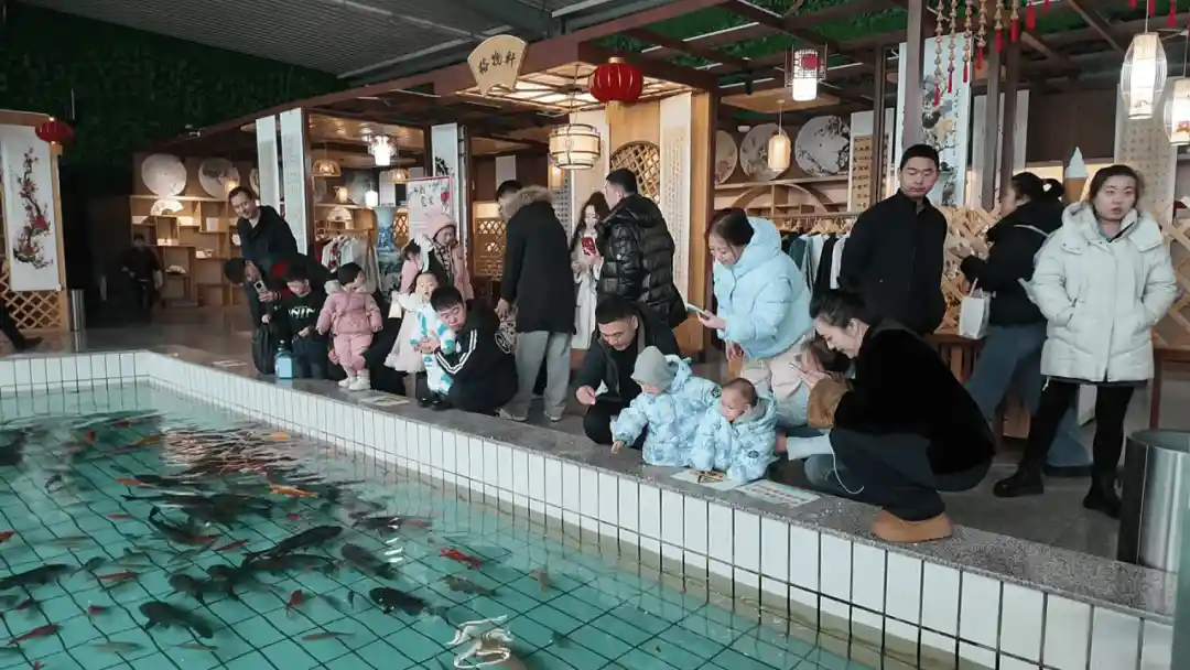 生态园迎新春：人潮涌动暖意浓，宝泉岭成热门旅游地