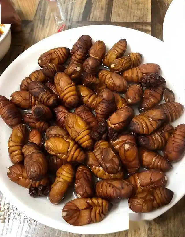 东北硬菜爆出圈！北方人爱不释手，南方人却直呼难以下咽？