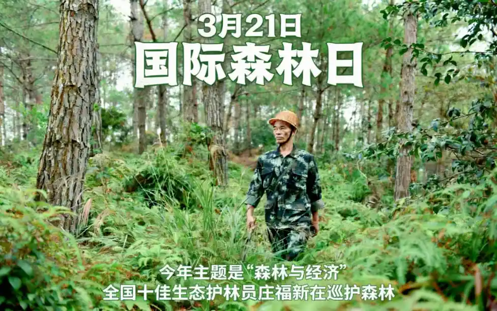 绿动呼吸：国际森林日，守护每一口清新