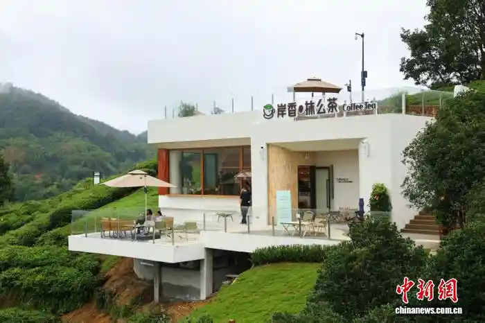 茶旅水旅双联动，大别山春日经济焕新机