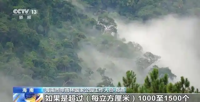 探秘海南绿脉：海底种珊瑚，雨林寻生态新境