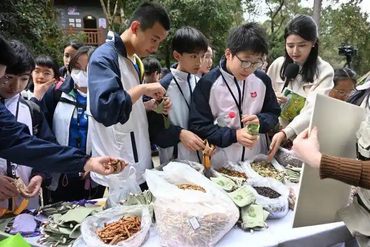渝港澳青少年共绘生态画卷 南山植物园种下友谊之树