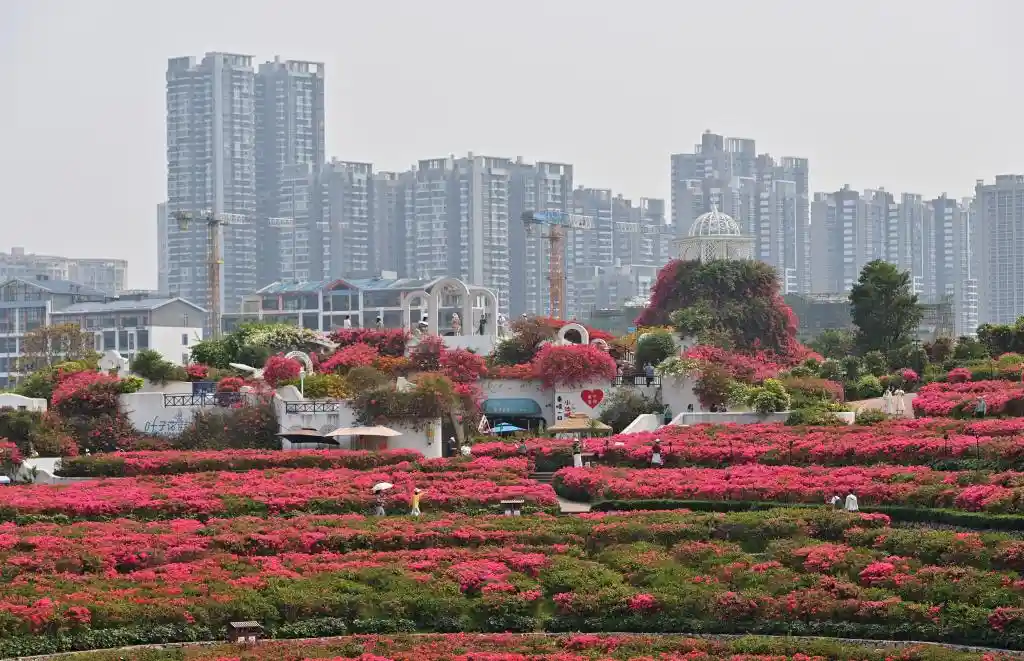 四季常春城，四月天里全年绽放