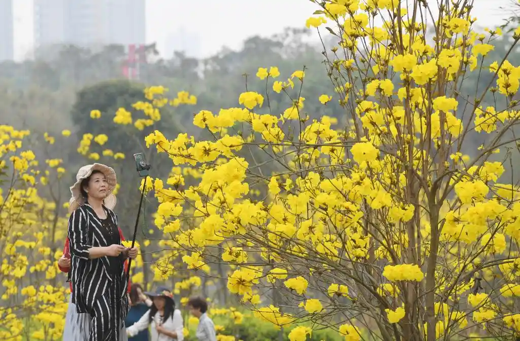 四季常春城，四月天里全年绽放