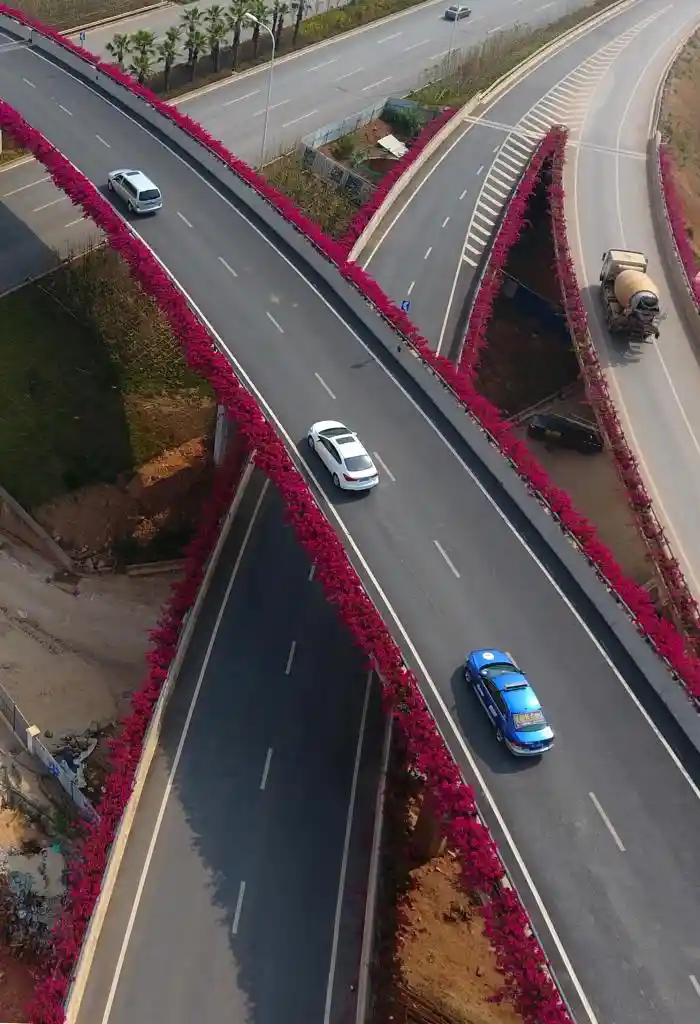 四季常春城，四月天里全年绽放