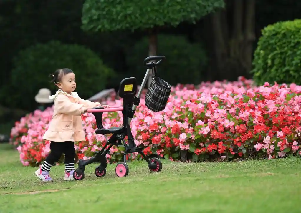 四季常春城，四月天里全年绽放