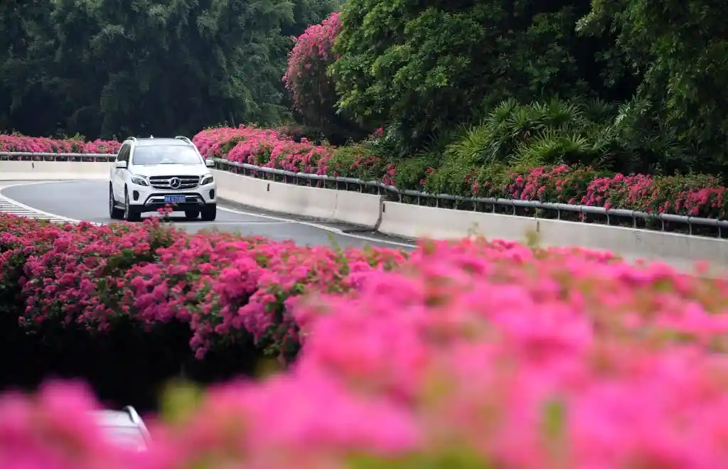 四季常春城，四月天里全年绽放