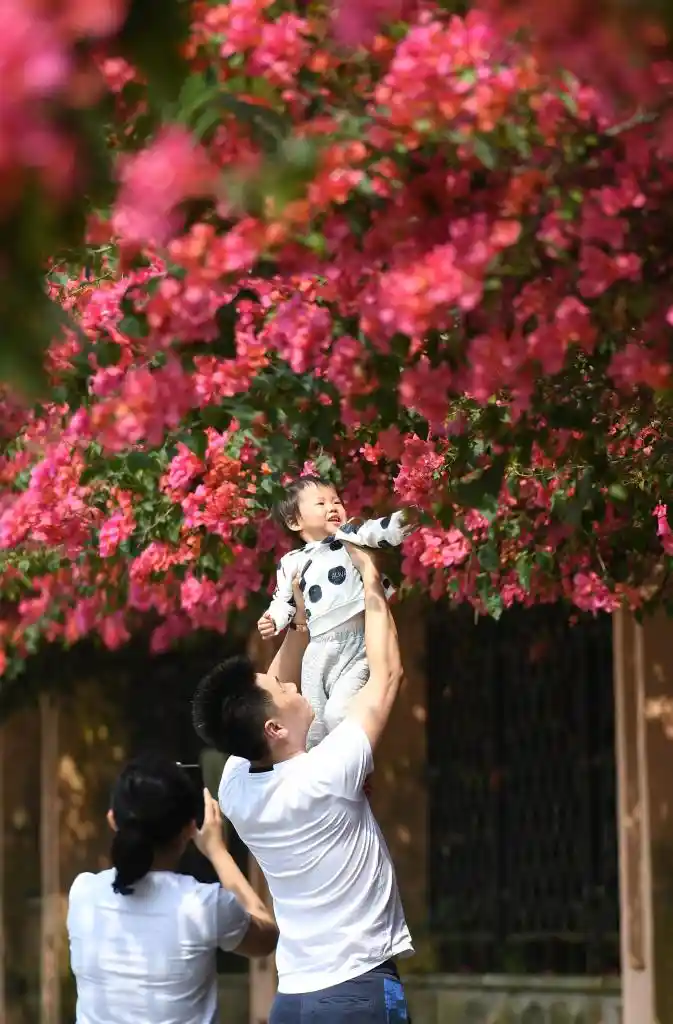 四季常春城，四月天里全年绽放