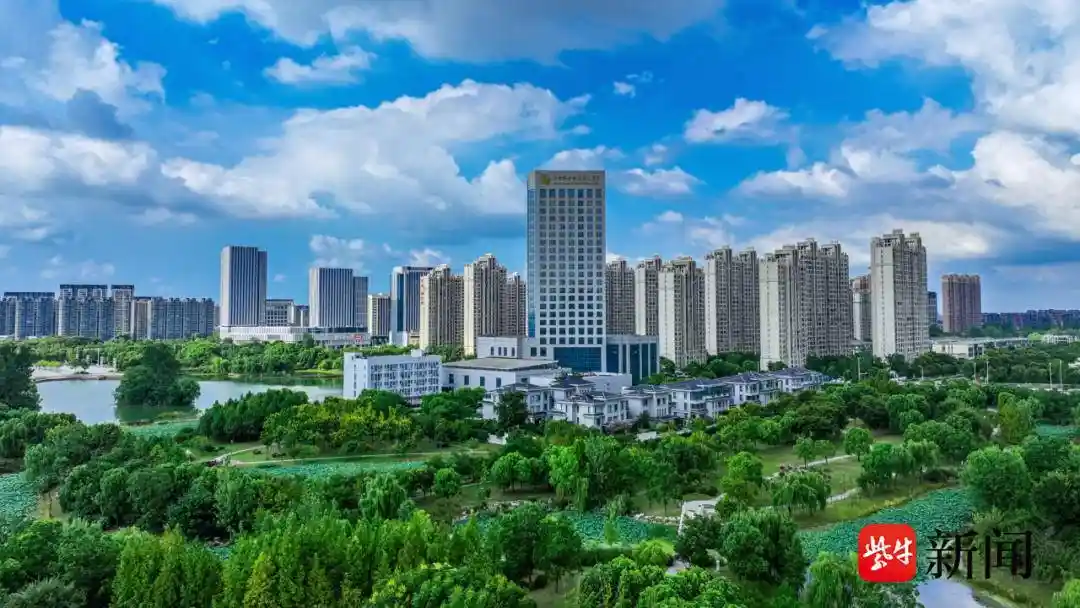 湿地守护者在仪征：长江畔绘就人与自然共生新画卷