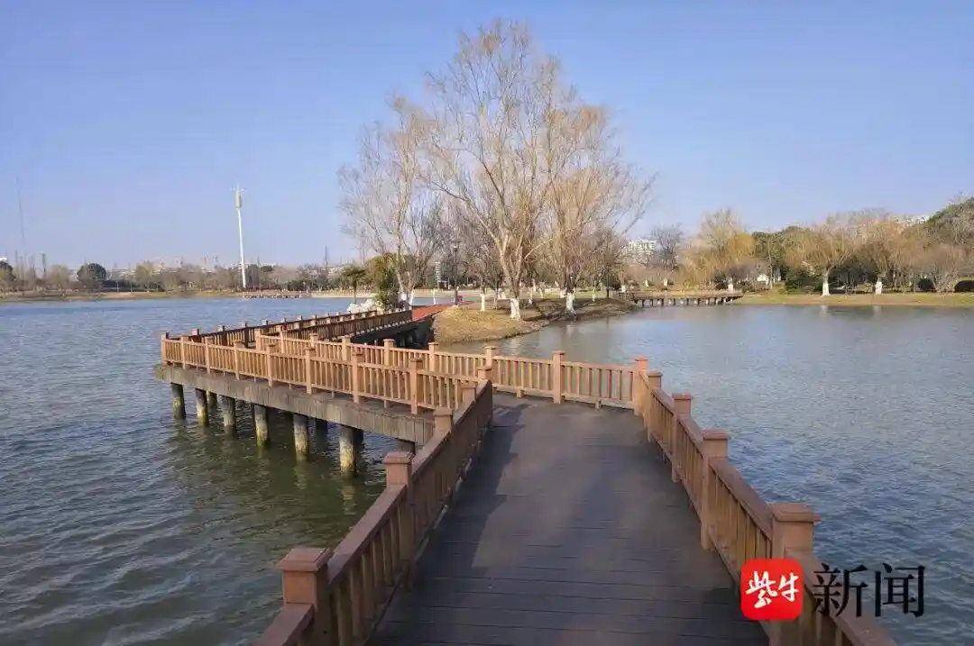 湿地守护者在仪征：长江畔绘就人与自然共生新画卷