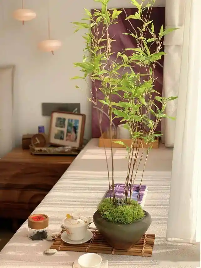 阳台封与不封，他选择不听家人劝，如今每天生活在梦中！