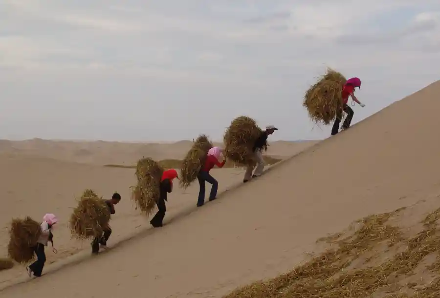 治沙英雄王有德：守护绿色的大地脊梁