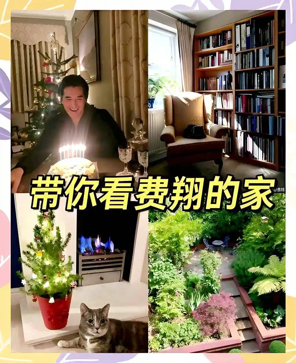 费翔独居现状曝光:无儿无女,与猫为伴,成亲戚眼中的唐僧肉