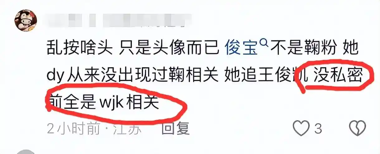 19岁女孩挪用1700万成榜一大姐,王俊凯粉丝身份曝光引热议