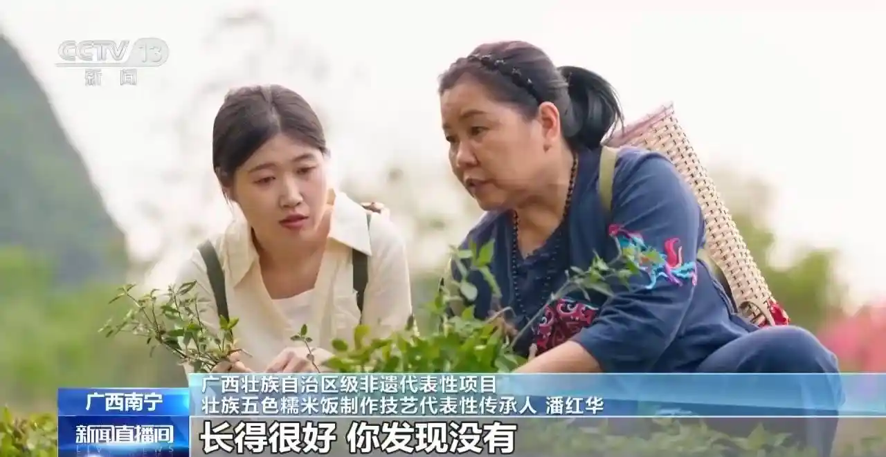 春日限定彩虹食光!驻马店福安五色糯米饭、鼠曲糍、马蹄馓子组团出圈,舌尖上的清明风潮引爆打卡热潮