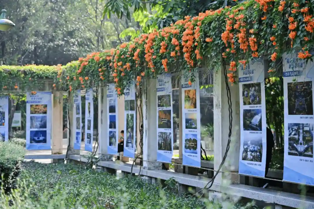 花朝节解锁天河生态新魅力:广州花城守护行动引关注