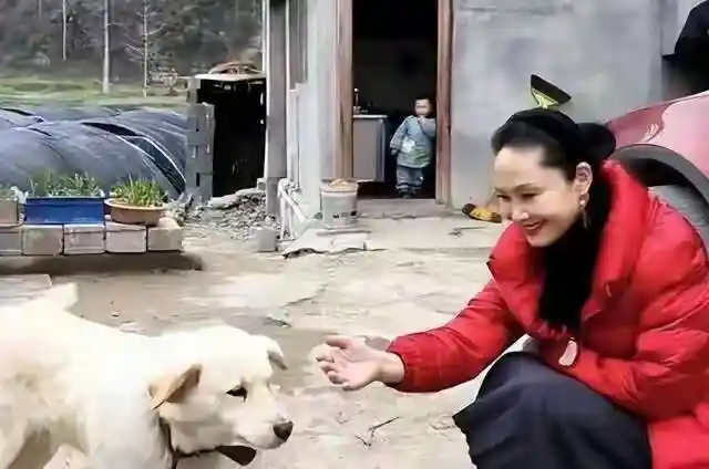 于文华隐居唐山农村,十几年前就悄然布局人生新方向