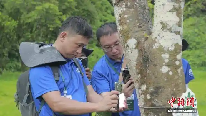 森林合伙人启航 广东多部门共筑生态赋能新生态